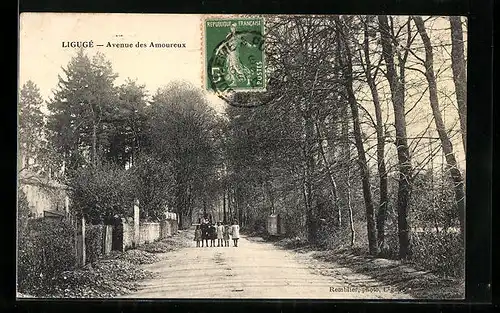 AK Ligugé, Avenue des Amoureux