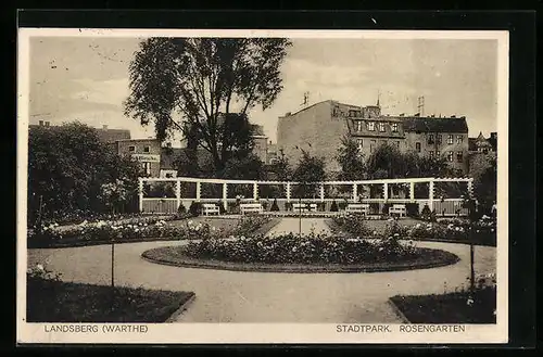 AK Landsberg /Warthe, Rosengarten im Stadtpark