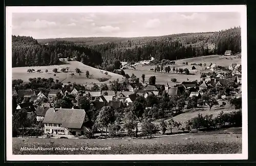 AK Hallwangen b. Freudenstadt, Totalansicht von einem Berg aus