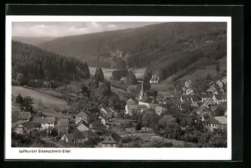 AK Eisenschmitt /Eifel, Totalansicht aus der Vogelschau