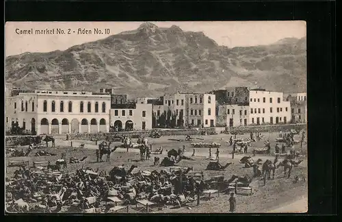 AK Aden, Camel market