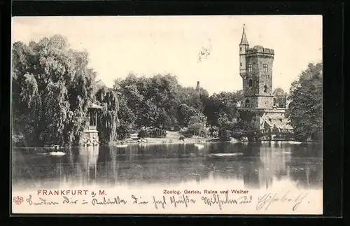 AK Frankfurt a. M., Zoologischer Garten, Ruine und Weiher