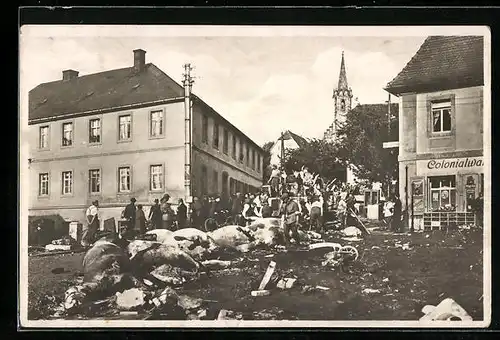 AK Berggiesshübel /Gottleubatal, Durch das Hochwasser angeschwemmte Viehkadaver