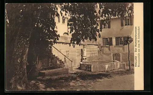 AK Hallau, Hammerbrunnen mit Brunnensäule aus dem 16. Jahrhundert