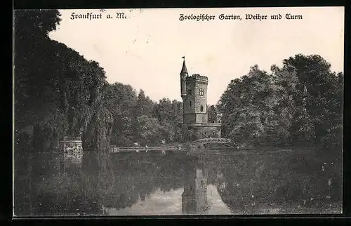 AK Frankfurt a. M., Zoologischer Garten, Weiher und Turm