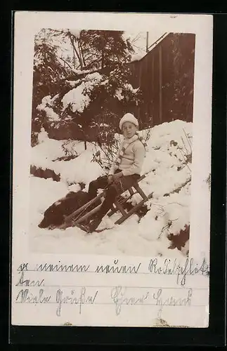 Foto-AK Torgau, Junge mit Schlitten und Hund im Schnee