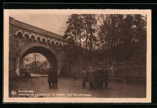 AK Beauraing, Avenue de la Grotte et Arbre des Apparitions