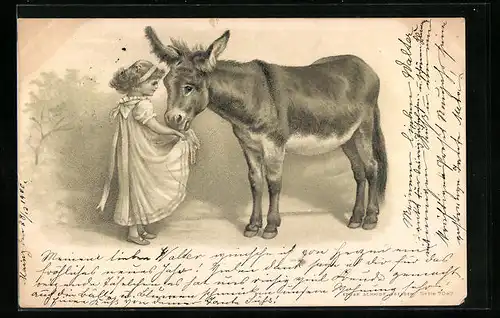 Präge-Lithographie Lithographie Kleines Mädchen lässt Esel aus seiner Schürze fressen