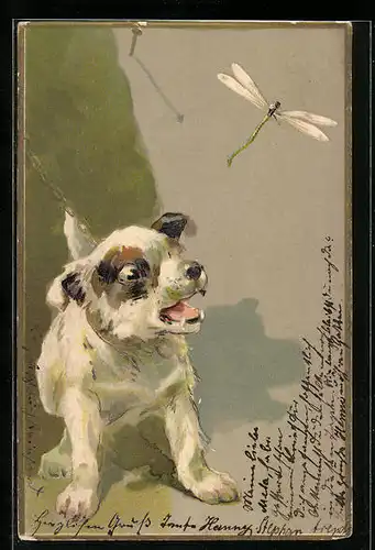 Lithographie Kleiner Hund verbellt eine Libelle