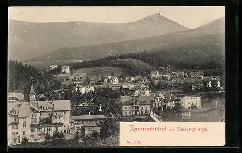 AK Ober-Krummhübel, Ortsansicht aus der Vogelschau