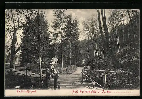 AK Bad Freienwalde a. O., Kurpark