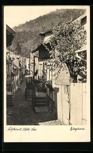 AK Ilfeld /Harz, Blick in die Burgstrasse