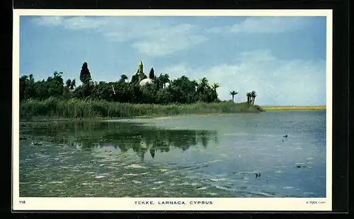 AK Lanarca, Tekke, Panorama