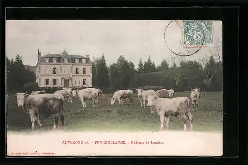 AK Puy-Guillaume, Chateau de Londant