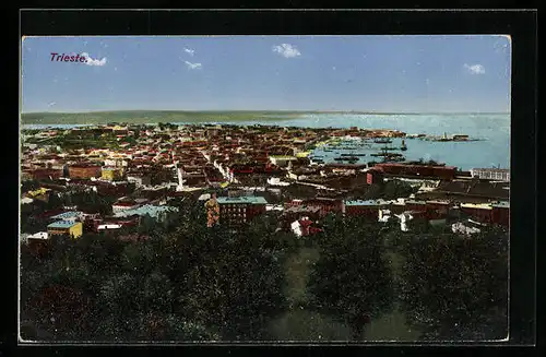 AK Trieste, Panorama