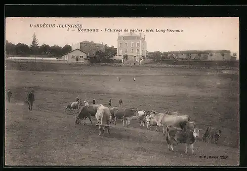 AK Vernoux, Paturage de vaches