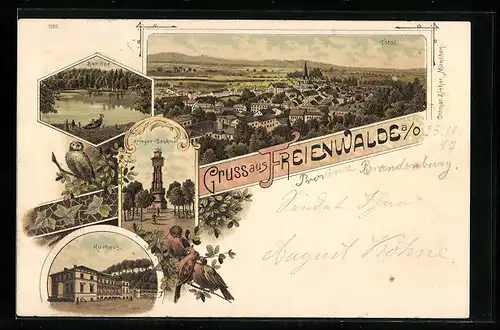 Lithographie Freienwalde a. O., Ortsansicht aus der Vogelschau, Kurhaus, Eulen