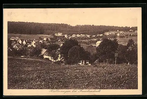 AK Hallwangen bei Freudenstadt, Ortsansicht aus der Vogelschau