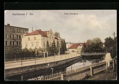 AK Reichenau i. Sa., Blick auf Villa Preibisch