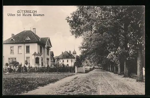 AK Gütersloh, Villen bei Meiers Bäumen