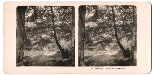 Stereo-Fotografie NPG, Thüringen, Partie im Schwazatal mit alter Holzbrücke