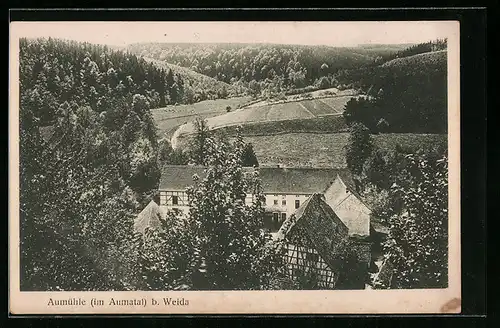 AK Weida i. Thür., Blick auf die Aumühle