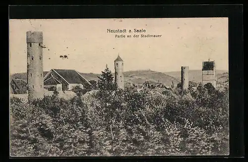 AK Neustadt a. Saale, Partie an der Stadtmauer