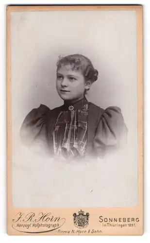 Fotografie J. R. Horn, Sonneberg in Thüringen, Junge Dame im Kleid mit Puffärmeln