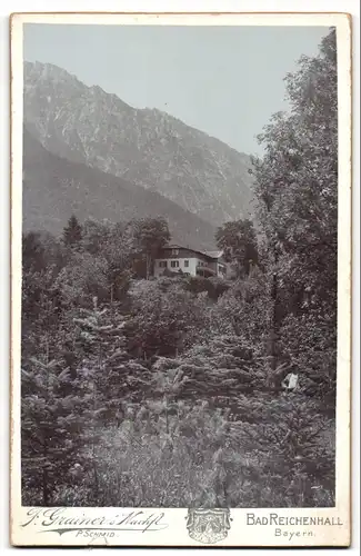 Fotografie F. Grainer Nachf., Bad Reichenhall, Ansicht Bad Reichenhall, Blick nach der Villa Haslern im Sommer 1907