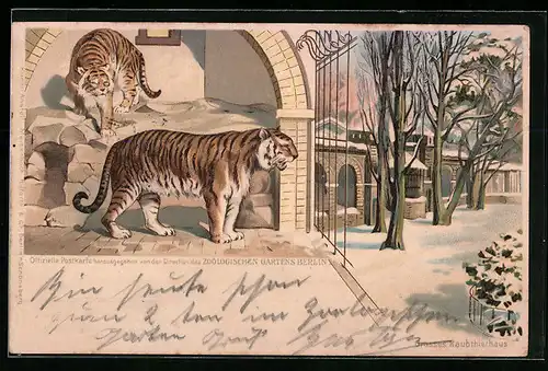 Lithographie Berlin, Grosses Raubtierhaus im Zoologischen Garten, Tiger