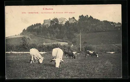 AK Mirepoix, Le Chateau de Terride