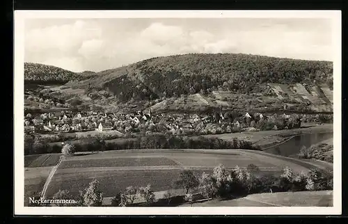 AK Neckarzimmern, Ortsansicht, Gasthof u. Pension zum Schwanen