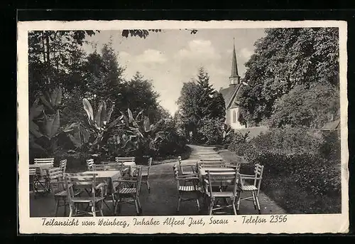 AK Sorau, Teilansicht vom Weinberg, Inh. Alfred Just