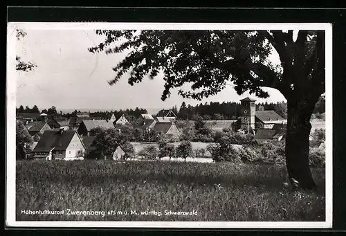 AK Zwerenberg / Württ., Ortsansicht mit Kirche