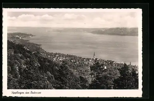 AK Sipplingen / Bodensee, Ortsansicht aus der Vogelschau