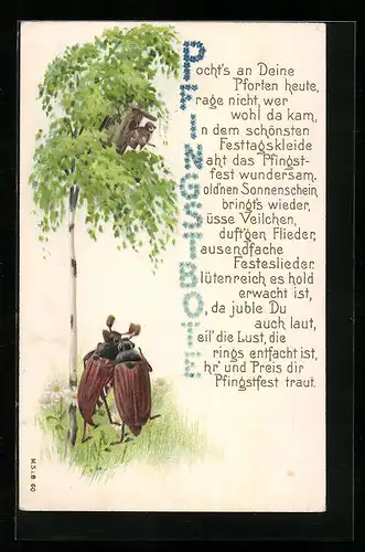 Lithographie Maikäferpaar und Vogel vor Nistkasten, Pfingstgruss