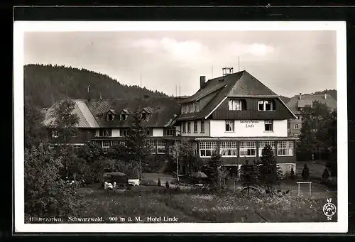 AK Hinterzarten / Schwarzwald, Hotel Linde