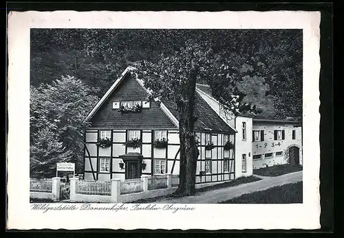 AK Obergrüne / Iserlohn, Blick auf die Waldgaststätte Dannenhöfer