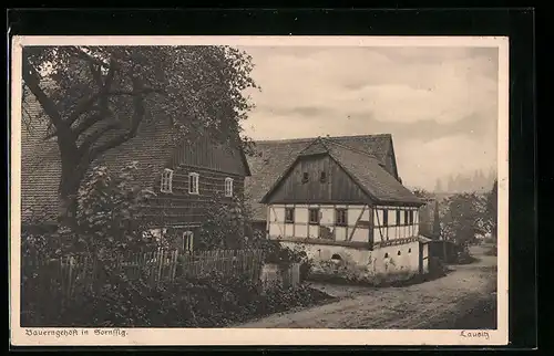 AK Sornssig /Lausitz, Altes Bauerngehöft