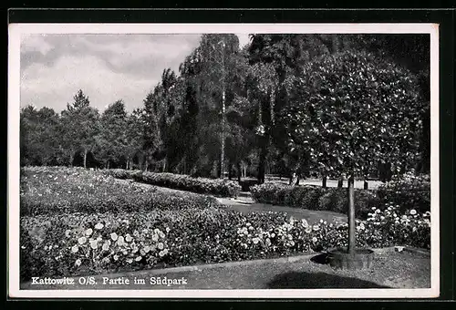 AK Kattowitz, Partie am Südpark