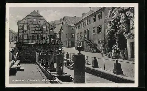 AK Beerfelden /Odenw., An der Mümlingquelle