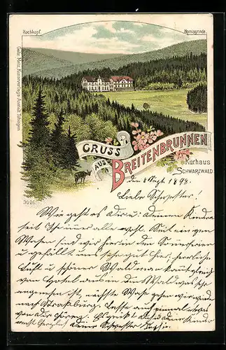 Lithographie Sasbachwalden, Hotel-Kurhaus Breitenbrunnen mit Hornisgrinde