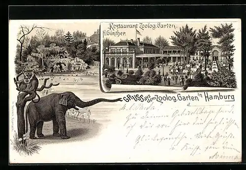 Lithographie Hamburg, Restaurant Zoologischer Garten H. Günther, Elefant