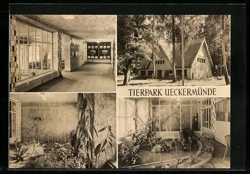 AK Ueckermünde, Tierpark Ueckermünde, Vivarium