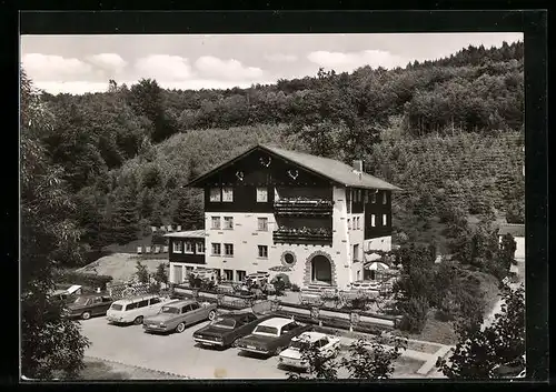 AK Rothenkirchen, Waldgasthof Forellen-Rainmühle