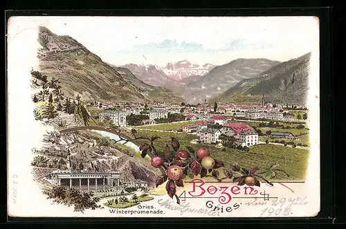 Lithographie Gries-Bozen, Gesamtansicht mit Winterpromenade