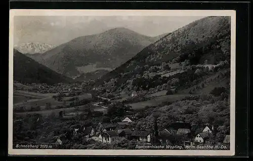 AK Wopfing, Ortsansicht mit dem Schneeberg