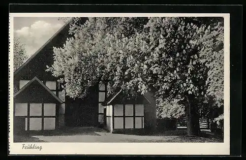 AK Gohfeld, Landfrauenschule d. Westf. Frauenhilfe, im Frühling