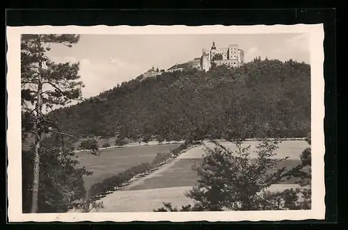 AK Buchlau, Burg Buchlau