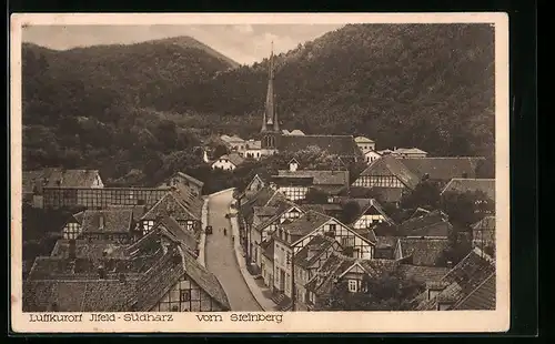 AK Ilfeld /Südharz, Ortsansicht vom Steinberg